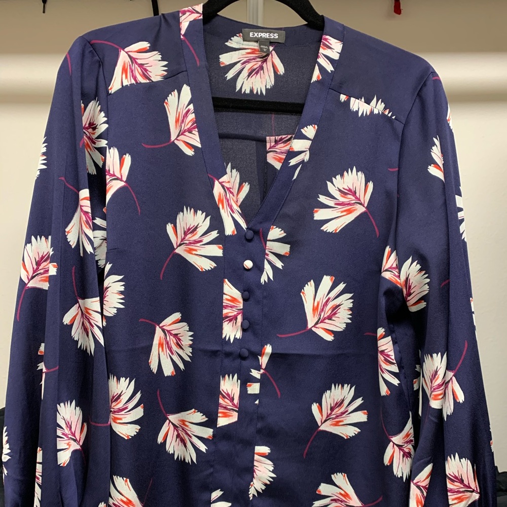 Express V Neck Blouse